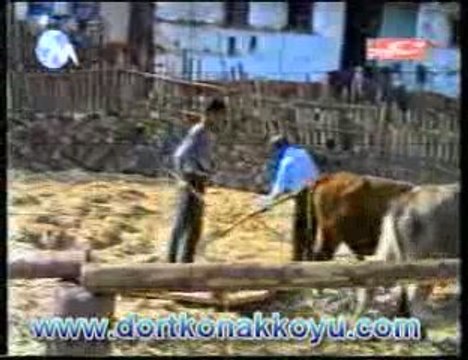 DORTKONAK KOYU ( NIYAZI SADIK SIIR)