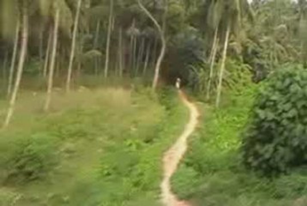 train kerala retouche