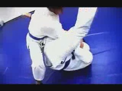 Brazilian Jiu Jitsu Instruction Manhattan Beach