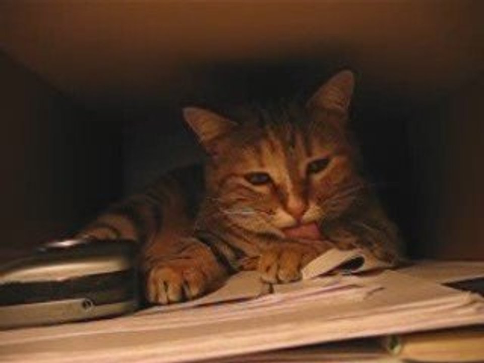 Une vidéo qui me fait sourire à chaque fois... RIP