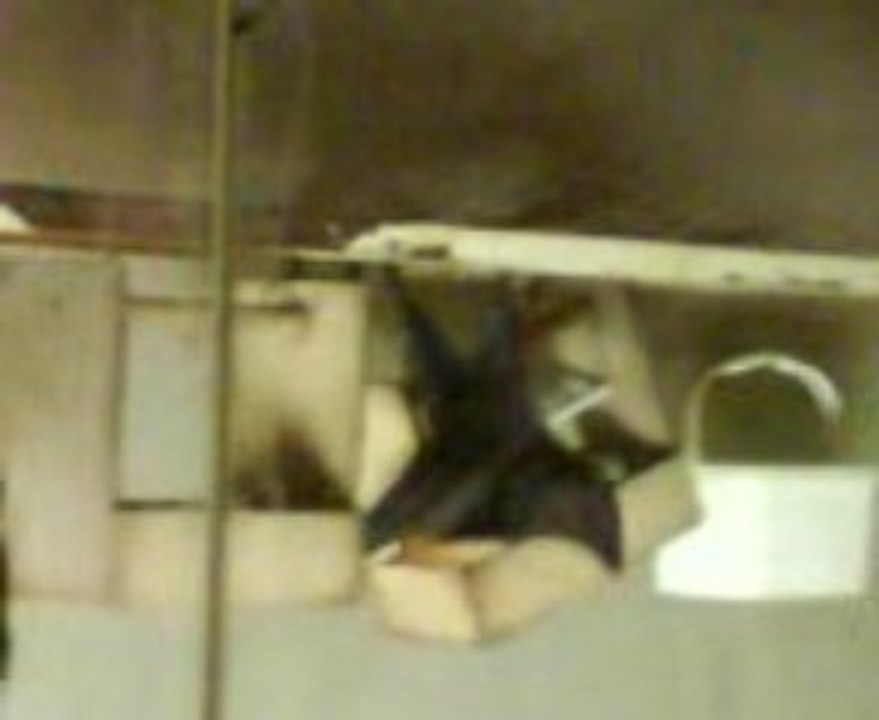 chauve souris safari peaugres