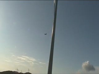 éolienne vs vautour