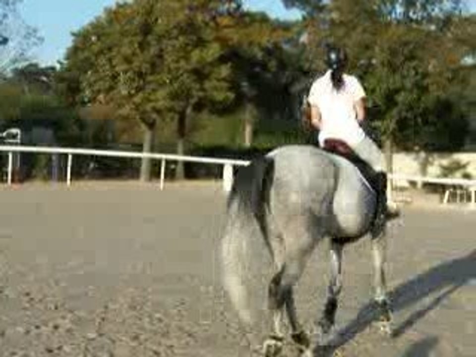 PLR - Patrick LE ROLLAND coaching à Caroline ROGER sur le plat
