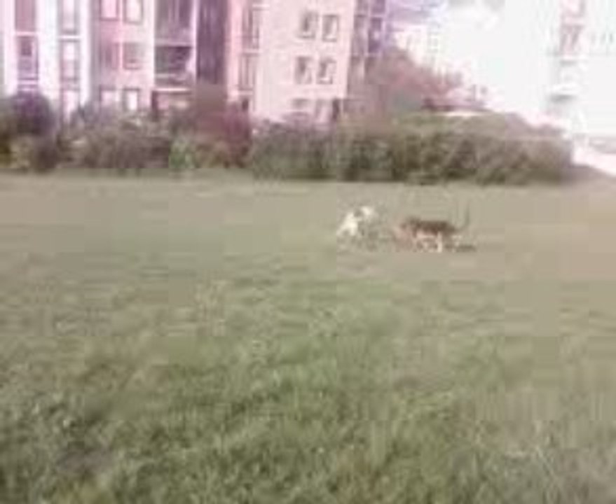 DiXie et Eyba