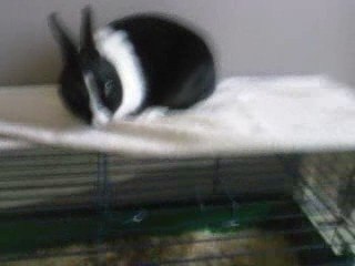 Sa s'appelle : Le saut du lapin qui n'est autre que Clapie!