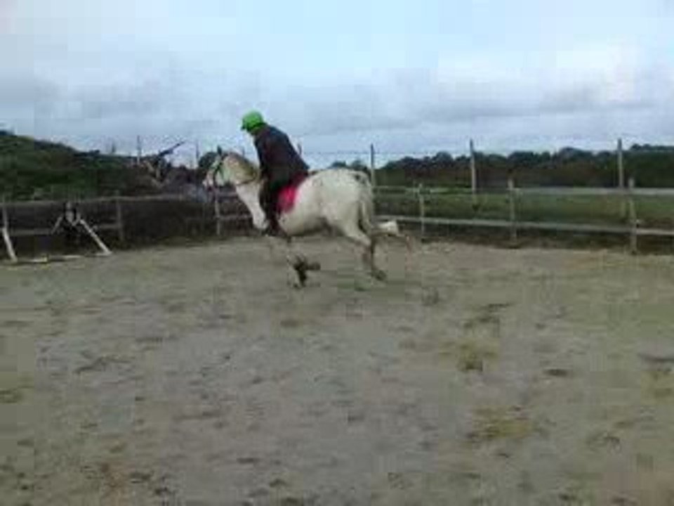 Fiiona