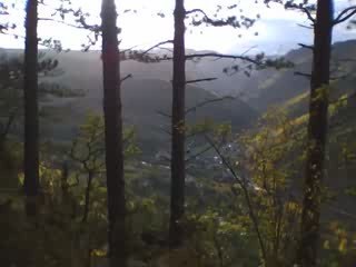 Endurance Trail 2009 82km