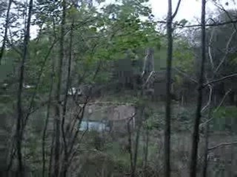 partie du 1er noembre 2009 a la meauffe avec adr et arya 015