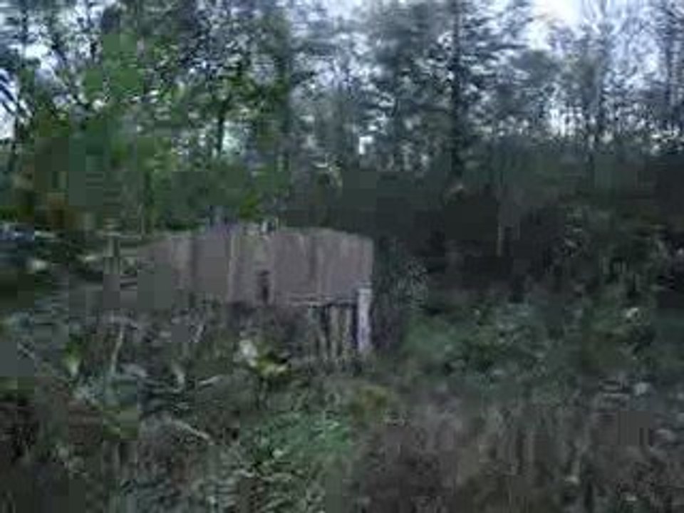 partie du 1er noembre 2009 a la meauffe avec adr et arya 016