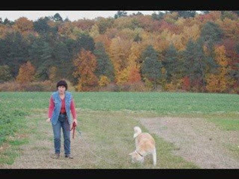 DAIKOO & KENZO 5 MOIS