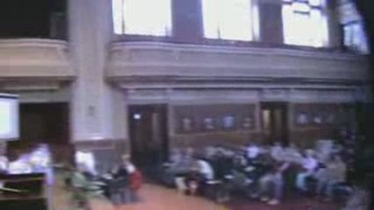 ANATECOR ARAD 2009 FELICIA MUNTEANU MEDITATIE