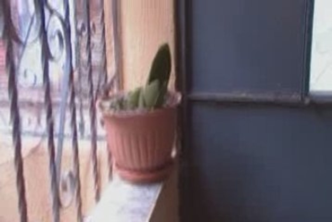 video de mamatina