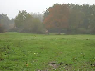 Pilou galop copine pré