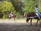 31 Octobre 2009 -> Dressage