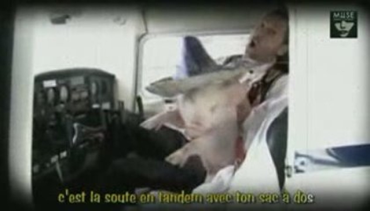 Tamiflu et Grippe Porcine Le clip