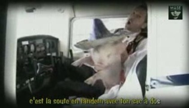 Tamiflu et Grippe Porcine Le clip