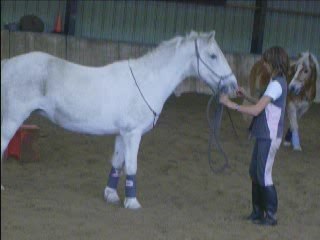 1ère démo (1er Nov.)