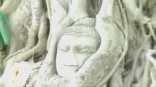 Infamous Buddha Head in Ayutthaya Thailand