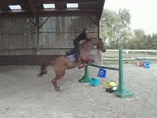 lutine obstacle à la maison avec les moyen du bord! ;)