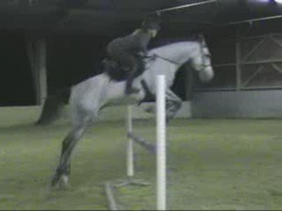 Ramses Bleu entrainement obstacle 1er novembre