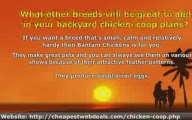 Chicken Breeds - Backyard Chicken Coop Plans