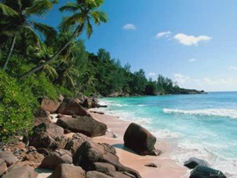 gana dinero subiendo videos metodo tube cash