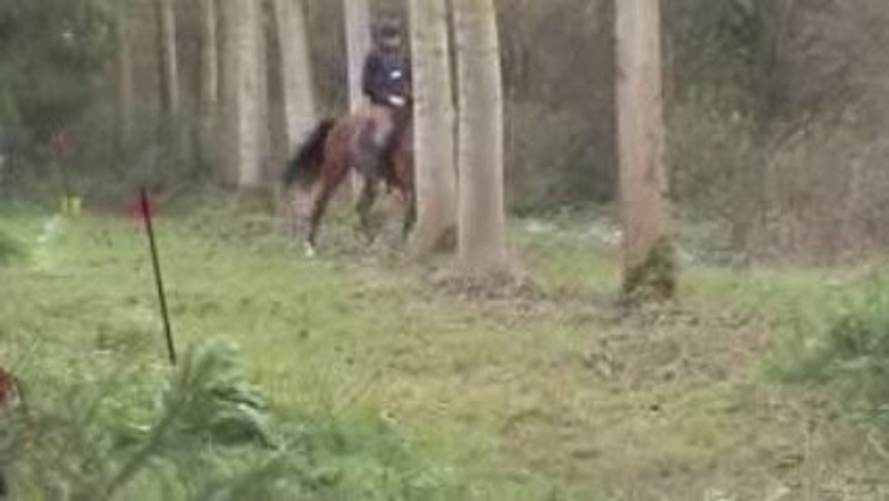 gymkhana 01:11:2009