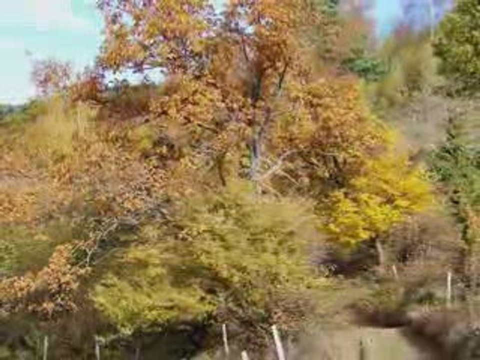 Couleurs d'Automne