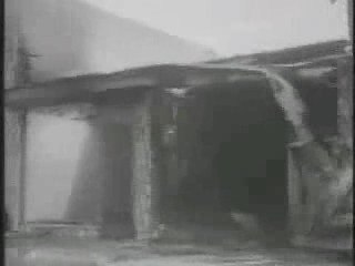 Les émeutes de Watts (1965)