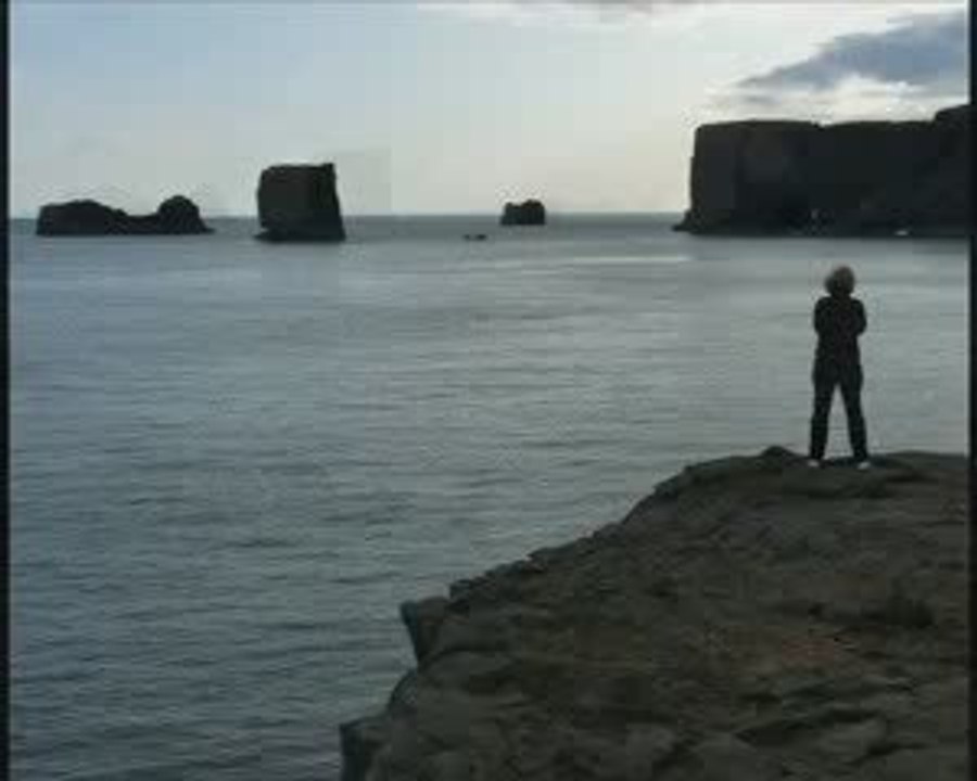 ISLANDE 9 - VIK - Côte Sud