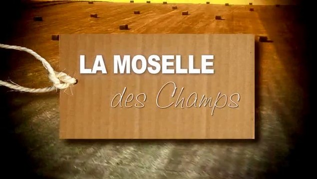 L'agritourisme en Moselle