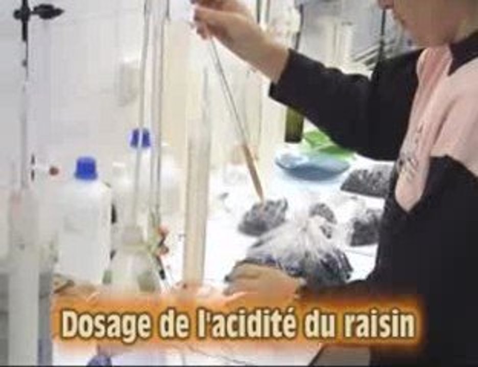 analyse des raisins au domaine lame delisle boucard