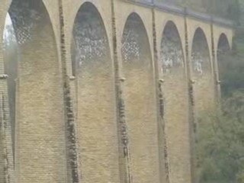 saut elastique angy et roro