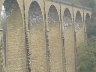 saut elastique angy et roro