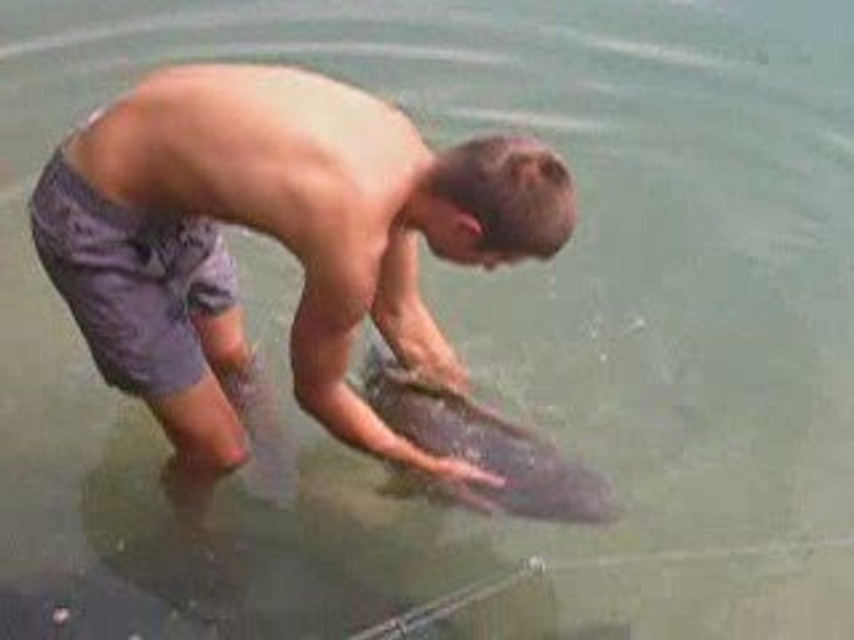 Remise à l'eau d'un beau poisson, no kill