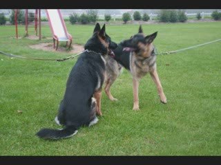 Une journée inoubliable