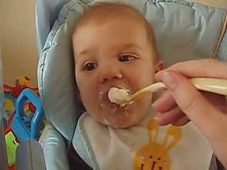 Noah et le petit suisse