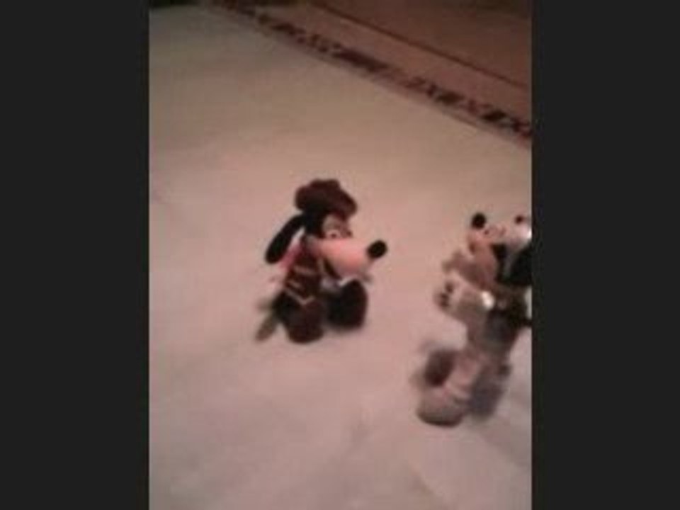 Panique à Disneyland (vidéo perso.)