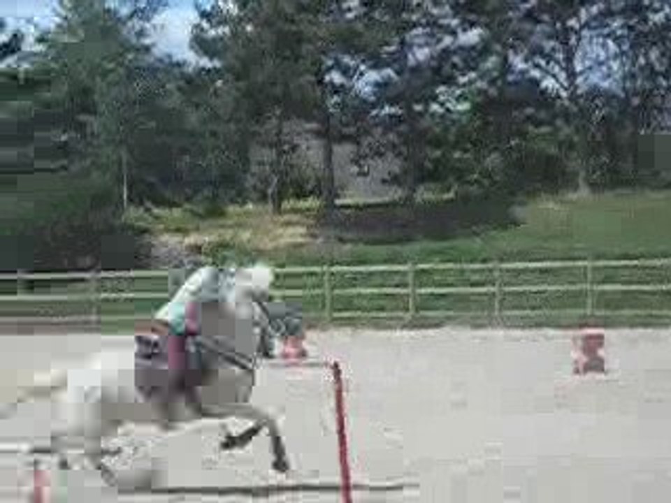 Pony Game