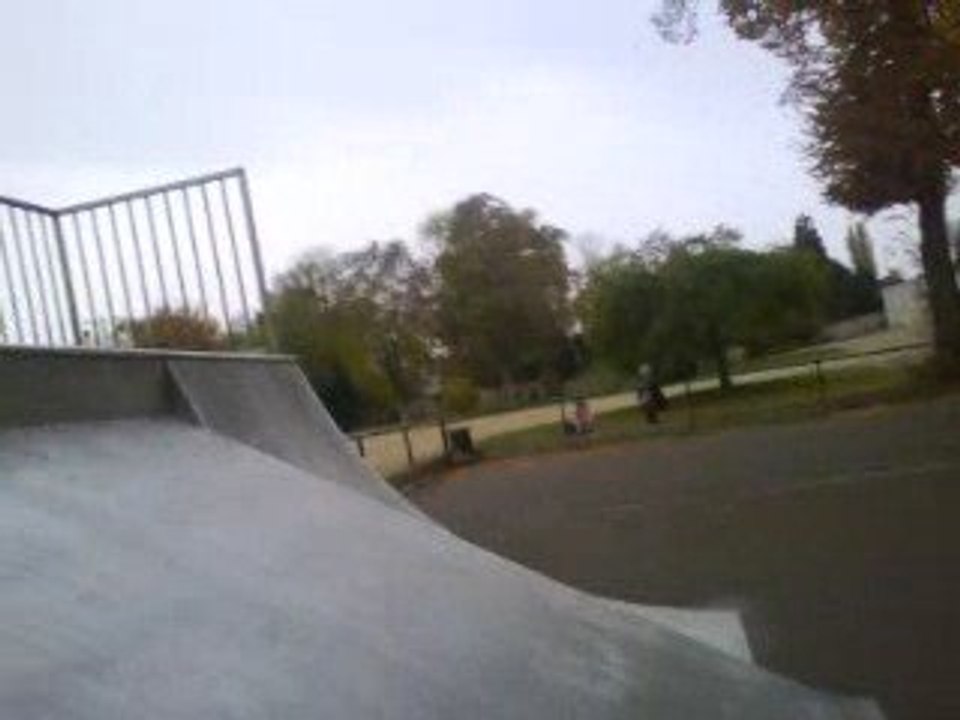 jakass in st diz