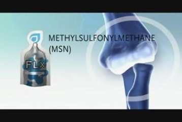 FLX Agel  FRANCE: l'Anti-Arthrose!