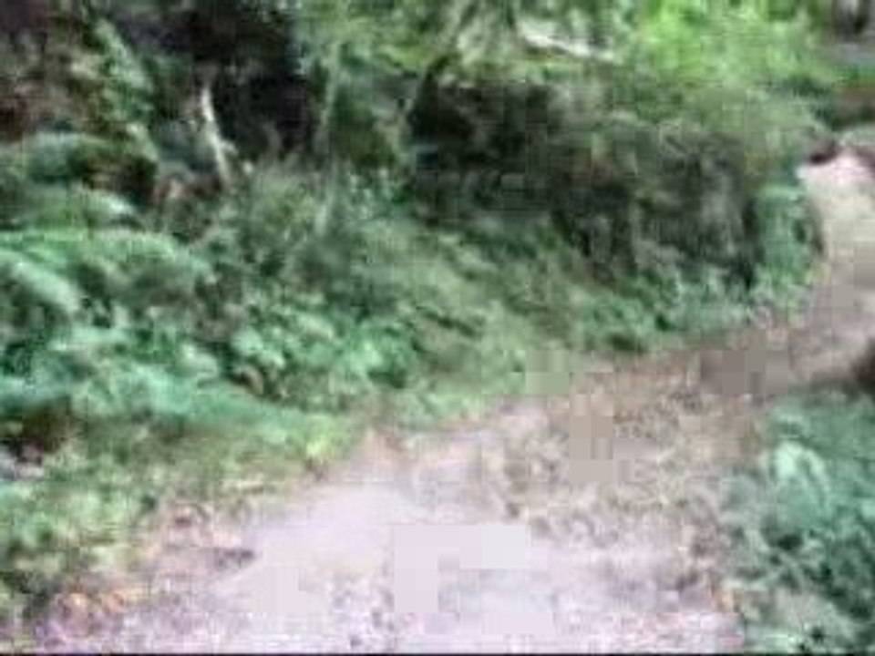 circuit 12 h la saint martinoise all breizh vtt