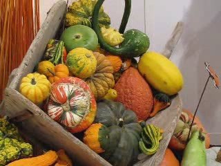 Ateliers Ci tas la trouille à Saint-Jean-de-monts (85160)