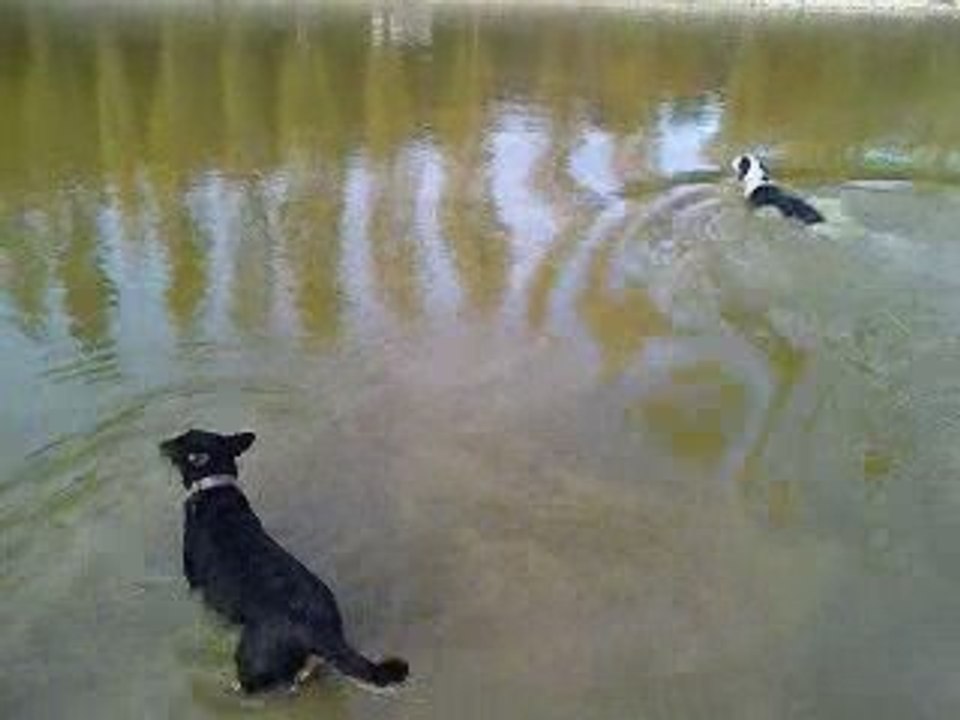 Eider Parc  01.11.09