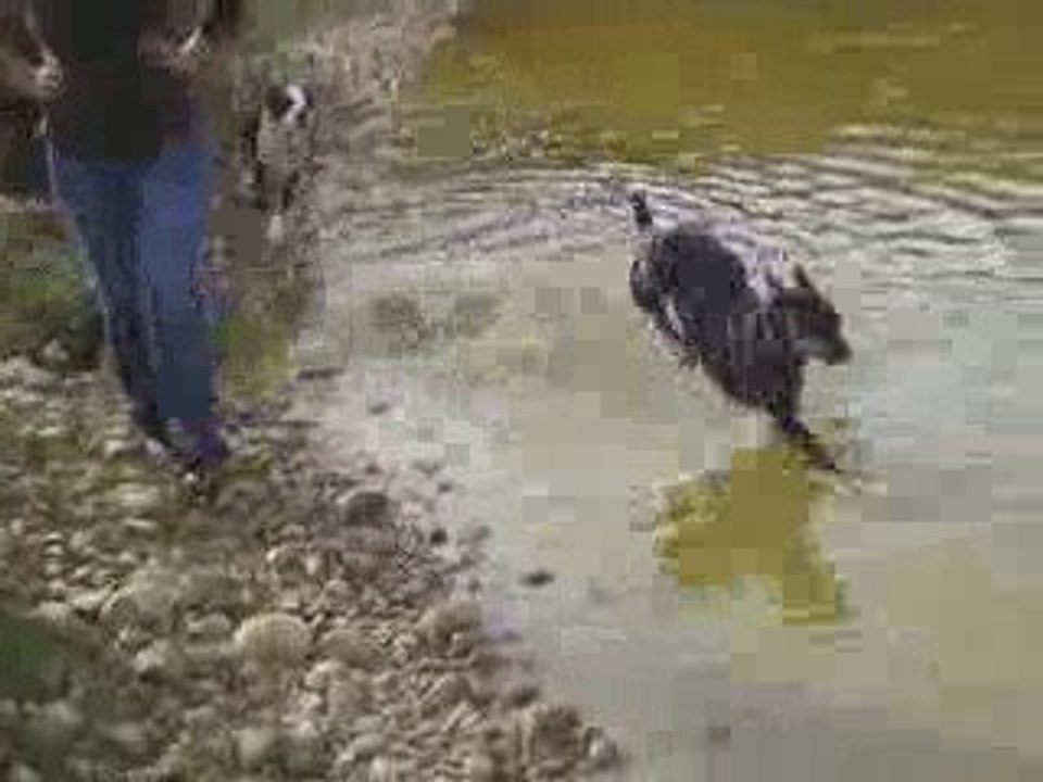 Eider Parc  01.11.09