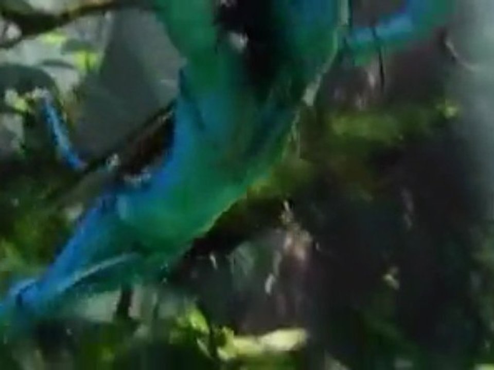 Avatar Day - Spot TV Avatar Day (Anglais)