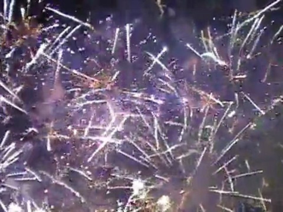 Disney's Bonfire Spectacular