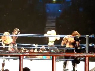 Diva's Battle Royal Feat Beth Phoenix, Natalya, Rosa ...