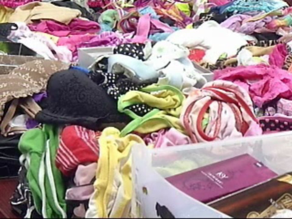 Garment thief