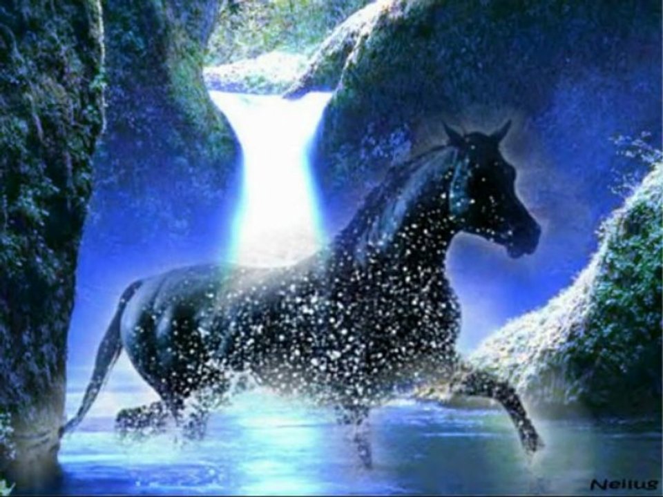 les chevaux